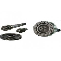 HONDA ALPHA ŞANZUMAN