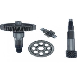 HONDA DİO ŞANZUMAN