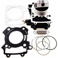 PULSAR NS200 SİLİNDİR OEM